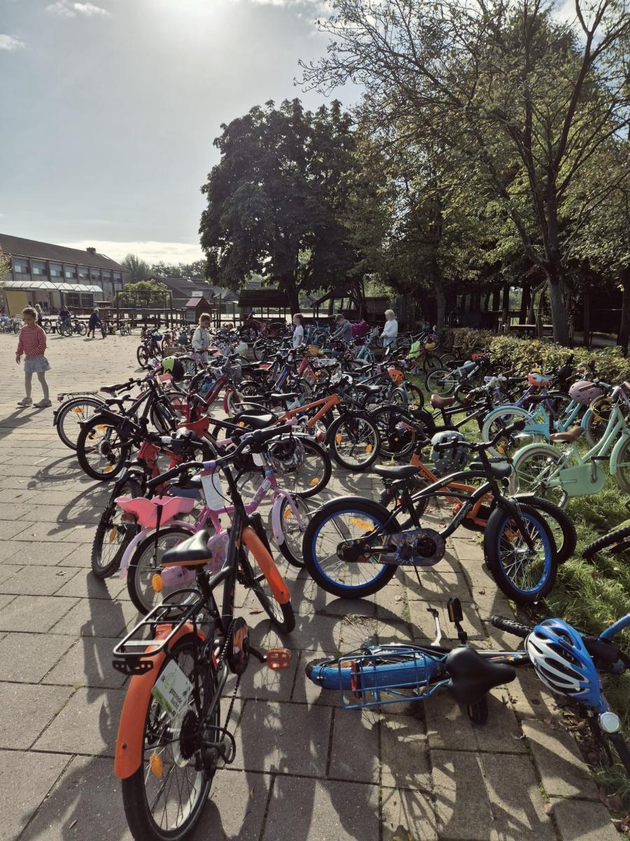 Strapdag