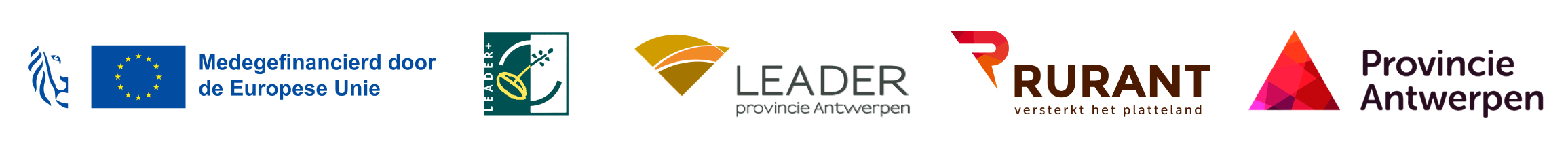 logo Leader