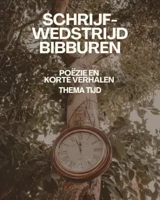 de affiche van de schrijfwedstrijd