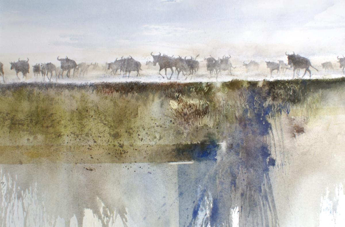 tentoonstelling Xavier Swolfs - Boeiende waterverhalen