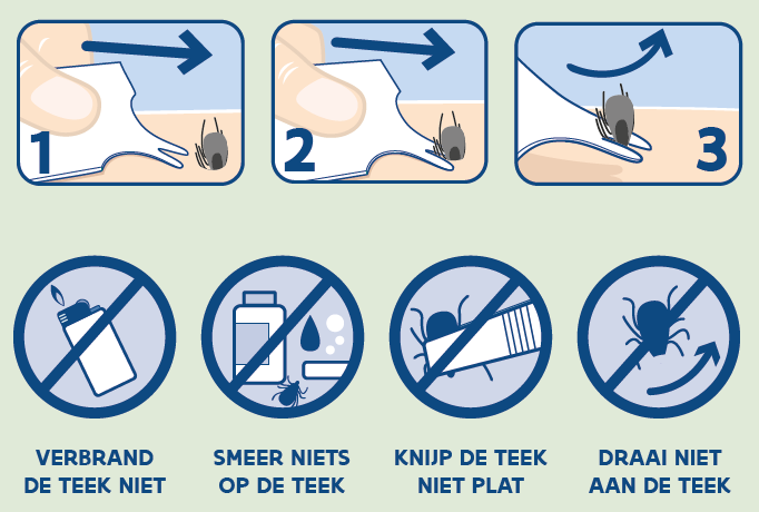 verbrand de teek niet, smeer niets op de teek, knijp de teek niet plat, draai niet aan de teek
