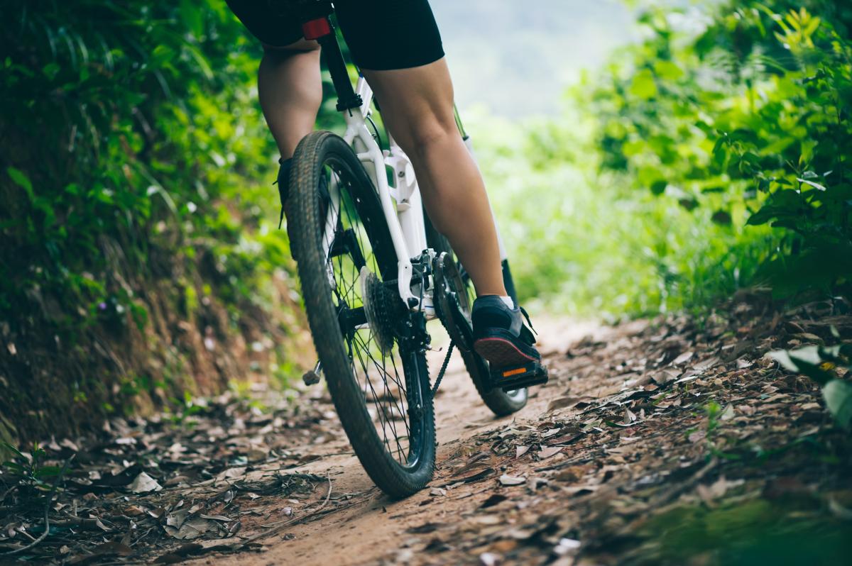 mountainbiker in bos
