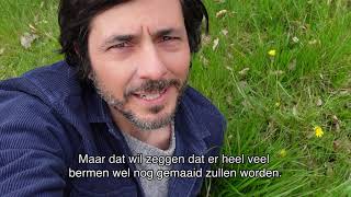 de bermen!