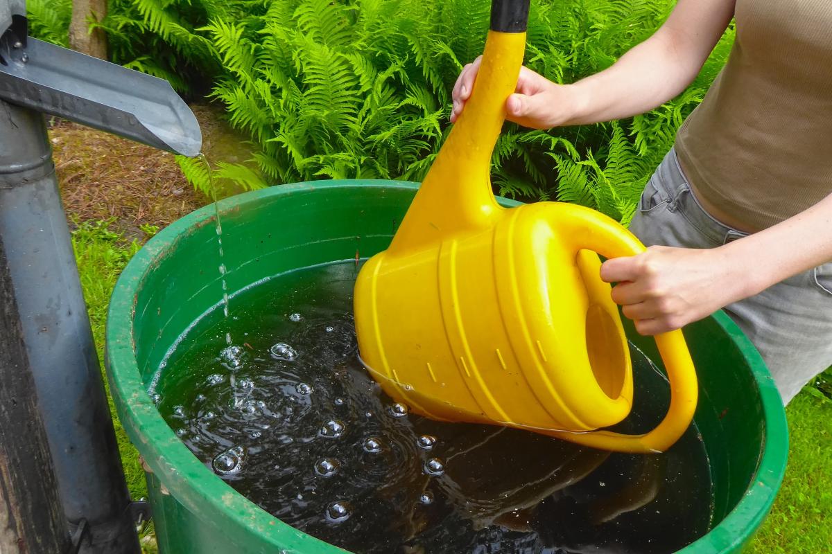 je gieter vullen met regenwater