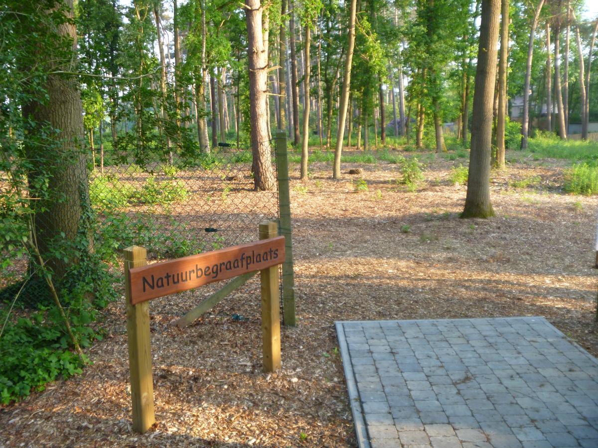 foto van een natuurbegraafplaats