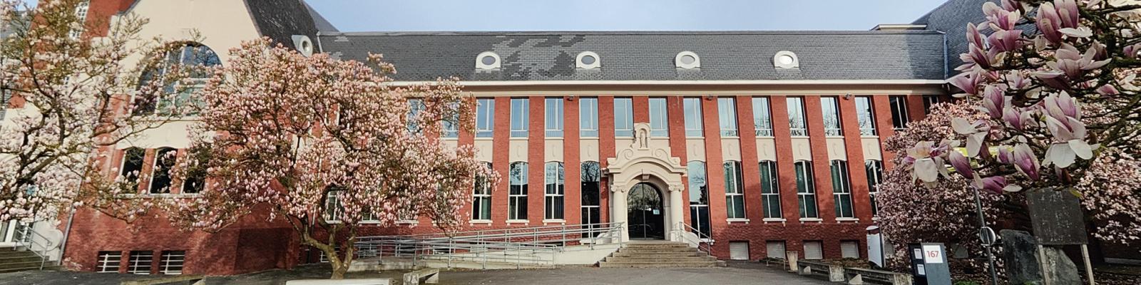 Bethaniënhuis achter bloeiende magnoliabomen