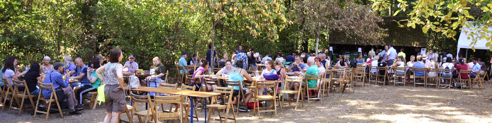 grote groep mensen amuseren zich aan tafels buiten