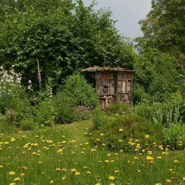 Cursus: meer natuur in je tuin © Natuurpunt