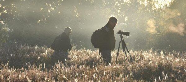 Foto-excursie: Zoerselbos © Bruno Vande Wiele