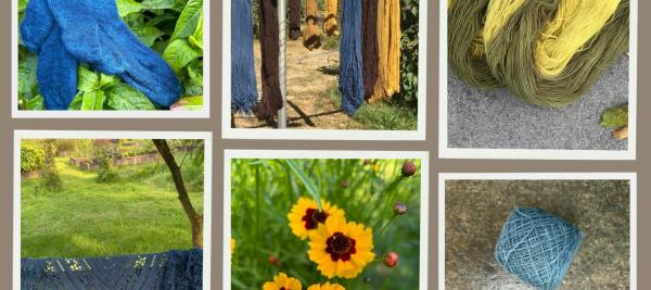Workshop wol plantaardig verven, met zelfgekweekte planten © Khansenhof