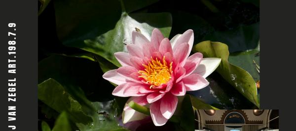 Foto- en digisalon © fotoclub Nenufar
