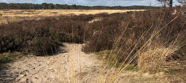 code rood in natuur- en bosgebied