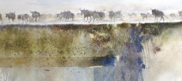 tentoonstelling Xavier Swolfs - Boeiende waterverhalen