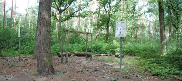 speelbos Voorste Hoeven