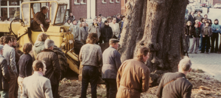 een foto van het neerhalen van de boom exact 50 jaar geleden