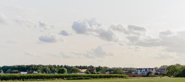 Zoersels groen landschap met appartementen op de achtergrond