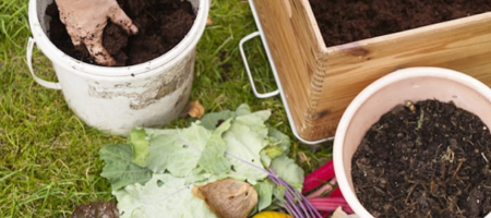 een persoon zit met zijn handen te voelen in een bak compost