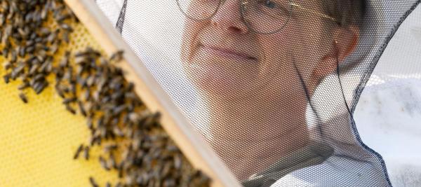 de redders van de honingbij | Imkerbond Zoersel