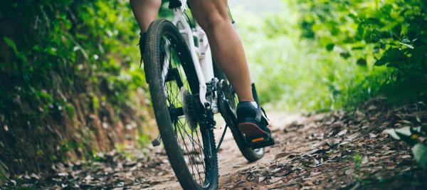 mountainbiker in bos