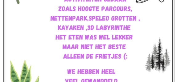 leerlingen 5de en 6de leerjaar maken Canva-kunstwerk over bosklassen