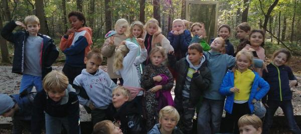 op stap naar het bomenpad