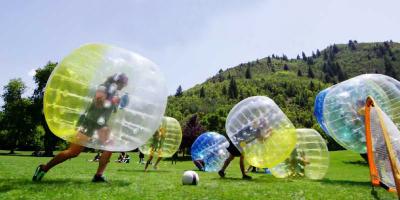 Kinderen in bumperball op grasveld