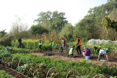 Ook klasgroepen zijn welkom in deVeldstraatzoersel. 