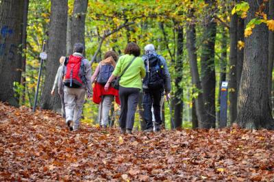 enkele mensen wandelen door een herfstig Zoerselbos