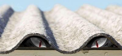 het asbestbeest: ogen onder asbest golfplaten