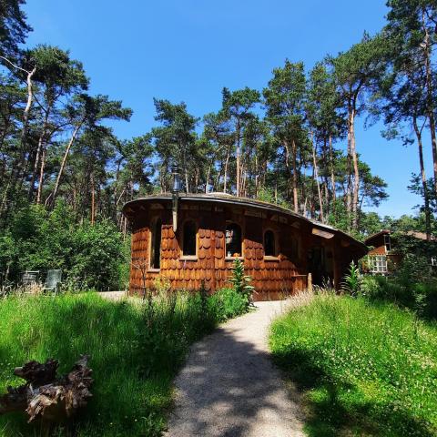 Hobbithuisje in het midden van de natuur tussen de dennenbomen en blauwe lucht.