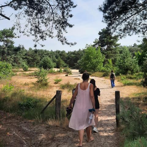 Wandelen in de duinen aan Robur