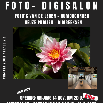 Foto's en digitale beeldenreeksen van leden; digitale beeldenreeksen van evenementen in Zoersel en Schilde; speciale hoek voor humorfoto's; poll naar de publiekskeuze van foto's en digitale reeksen.