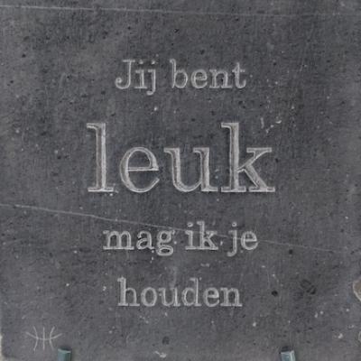 Voorbeeld letterhakken