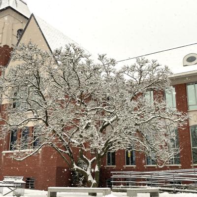 Als tekstalternatief zeg ik dat dit het administratief centrum is in een winters kleedje.