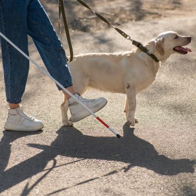 Blinde persoon met blindegeleidehond