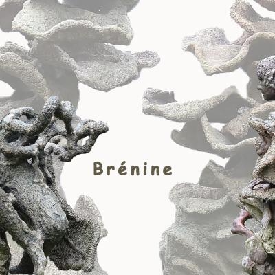 Brénine
