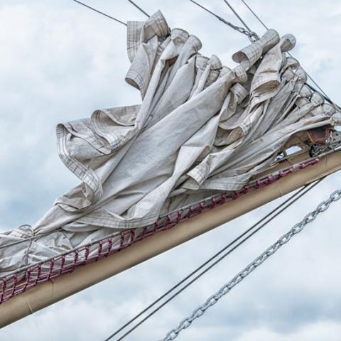 Detail Tall Ship Races Antwerp