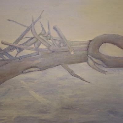 Riet Verhelst | Waar kracht buigt als de wind losbarst