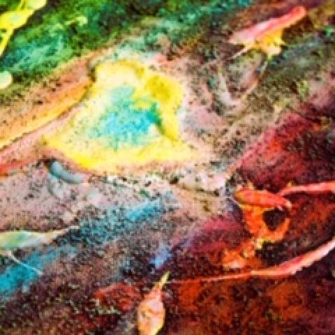 Vedic Art vervolg