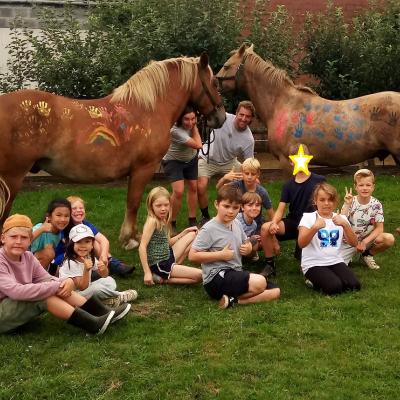 Inclusie paardenkamp