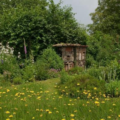 Cursus: meer natuur in je tuin © Natuurpunt