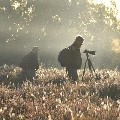 Foto-excursie: Zoerselbos © Bruno Vande Wiele