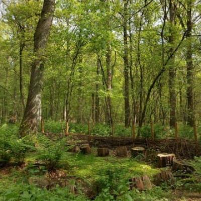 Schatten Van Vlieg in Doezelbos © Monnikenheide