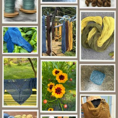 Workshop wol plantaardig verven, met zelfgekweekte planten © Khansenhof