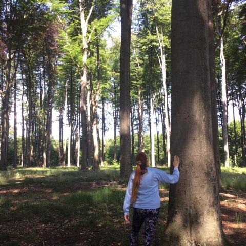 Vrouw in een bos