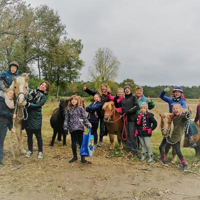 Inclusie paardenkamp