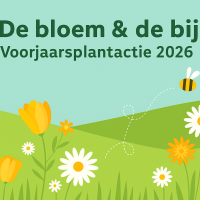 De bloem & de bij - Voorjaarsplantactie 2026