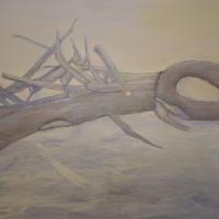 Riet Verhelst | Waar kracht buigt als de wind losbarst