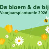 Ecomarkt & lezing Wilde bijen in de natuurvriendelijke tuin © Zandhoven Natuurlijk