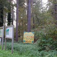 speelbos Halmolenweg